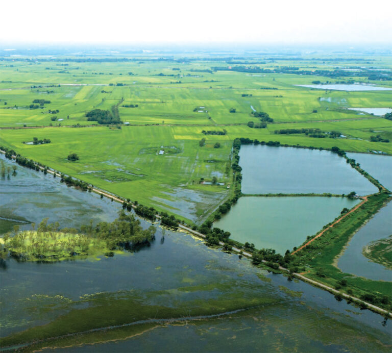 floodplain bangpakong 2 768x692