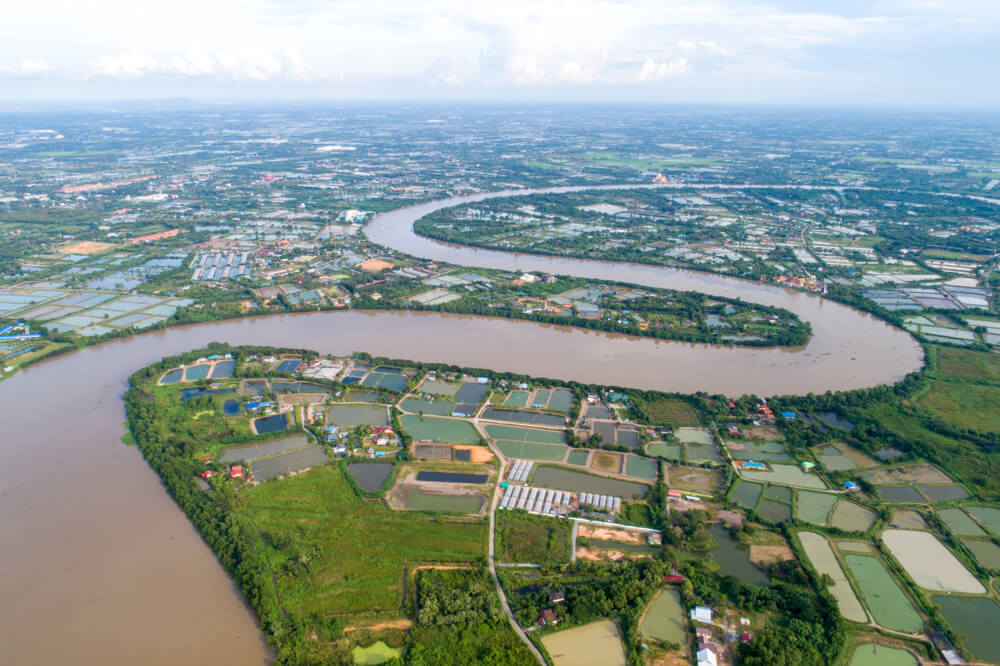 shutterstock 1226503384